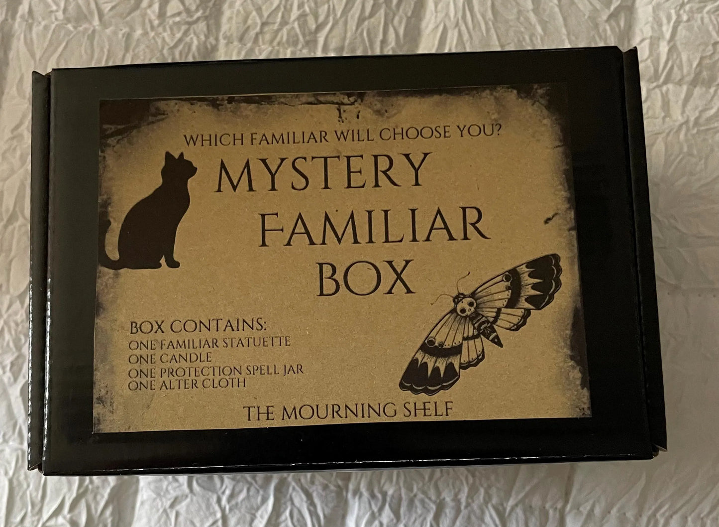 Mystery Familiar Box – Blind-Chosen Owl/Raven/Wolf/Fox/Cat + Altar Cloth, Candle & Protection Spell Jar